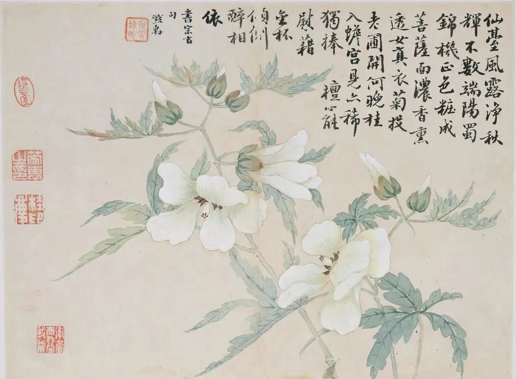 青少年研学招募 | 心似一朵莲，毕竟五月天！