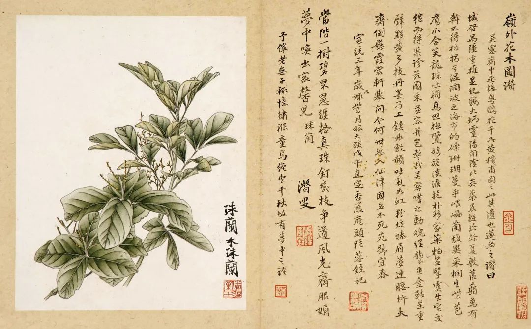 喜讯 | “格物·求真——博物学视角下的岭南绘画”展览入选“2022年全国美术馆青年策展人扶持计划”